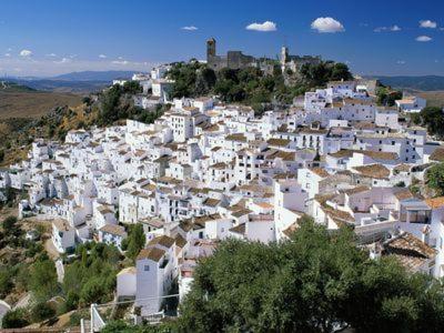 Casares Appart 2 Ch Dans Parc Tropical Avec Vue Sur Mer, Montagne Et Piscine Appartement Buitenkant foto