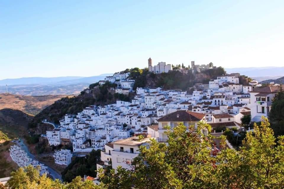 Casares Appart 2 Ch Dans Parc Tropical Avec Vue Sur Mer, Montagne Et Piscine Appartement Buitenkant foto